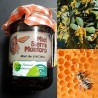 Miel de Encina